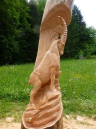 tj13-14 pferde titel oeschs 157